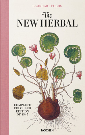 Image alt text